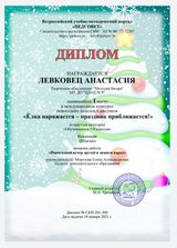 Диплом 1 место (Левковец Анастасия) Международный конкурс новогодних поделок и рисунков "Ёлка наряжается - праздник приближается". (18.01.2021 г.)