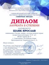 Диплом  2 степени (Шляк Ярослав) V Межрайонный детский конкурс рисунков с международным участием СЕВЕРНЫЕ ЗВЕЗДЫ. 15.04.2021г.