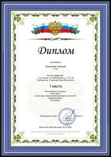 Диплом 1 место (Троянская Наташа) Всероссийский конкурс "Моя семья". Номинация: Декоративно-прикладное искусство (30.12.2020 г.)